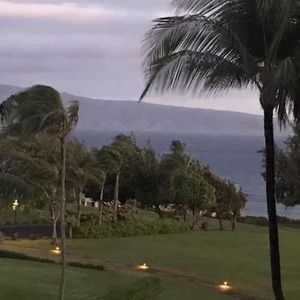 Meet your Posher, Tracey